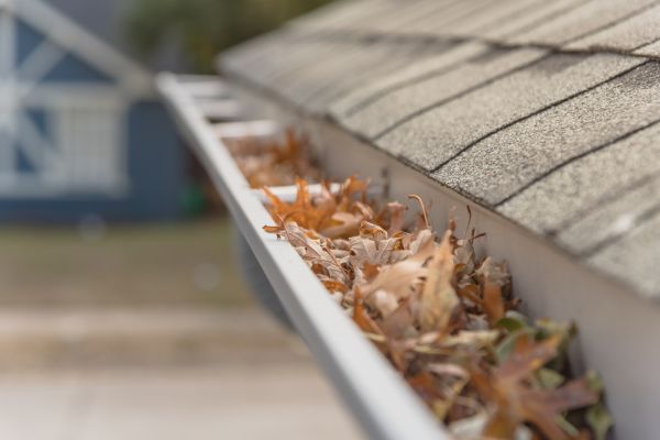 Leaf Barrier Installation in Clarkston